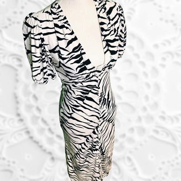 RIXO London ‘Tonya’ V-Neck Tiger Stripe Printed Button Up Flare Dress Size XXS - Picture 7 of 16